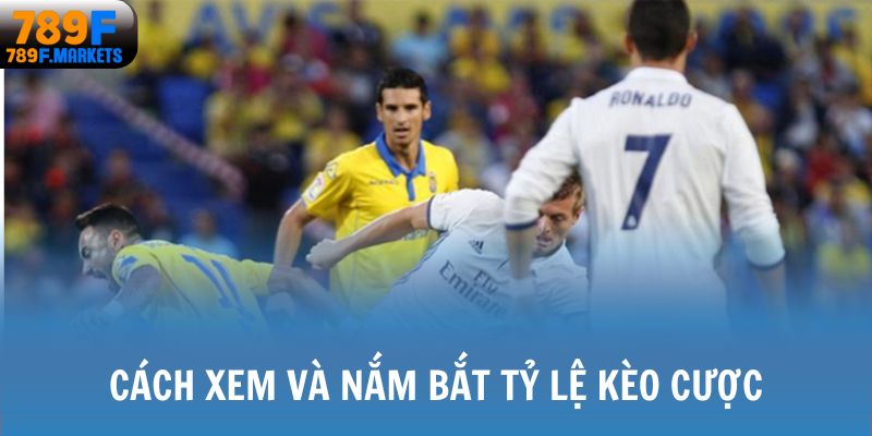 Cách xem và nắm bắt tỷ lệ kèo cược